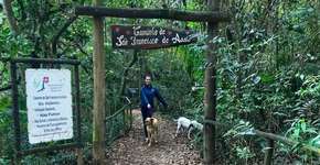 Pet friendly, Socorro tem aventuras e pousadas que recebem bichos