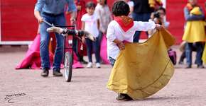 Foto: (Imagem sem texto alternativo disponivel ID [852682])