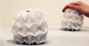 Foto: (Imagem sem texto alternativo disponivel ID [1828967])