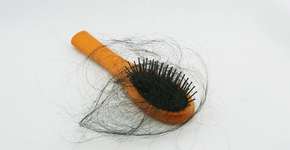 Foto: (iSTock/ninuns)