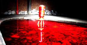 Foto: (Imagem sem texto alternativo disponivel ID [1841534])