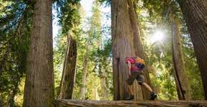 Booking investe em programa para incentivar turismo sustentável