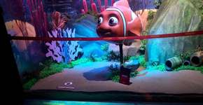 Foto: (Divulgação)