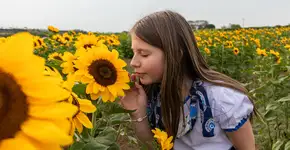 Foto: (Juliana Lazarini/Divulgação)