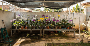 Foto: (Imagem sem texto alternativo disponivel ID [2722787])