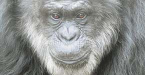 Foto: (Imagem sem texto alternativo disponivel ID [1866863])