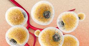 Foto: (Spectral/DepositPhotos)