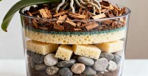 Foto: (Imagem sem texto alternativo disponivel ID [2671036])