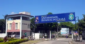 Foto: (Divulgação)