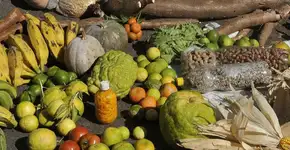 Mutirão distribui cestas agroecológicas a comunidades vulneráveis