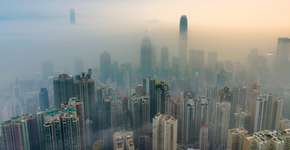 Foto: (Imagem sem texto alternativo disponivel ID [1085632])