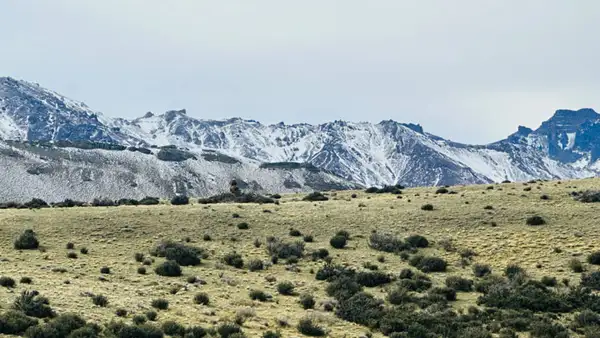 Paisagens e momentos do Puma Tour, passeio especializado para ver puma em Torres del Paine