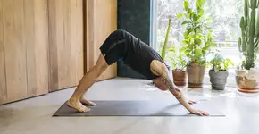 Foto: (JohnnyGreig/istock)