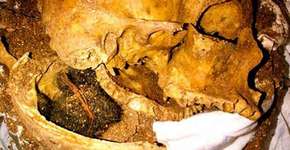 Os 20 itens mais estranhos apreendidos nos aeroportos dos EUA