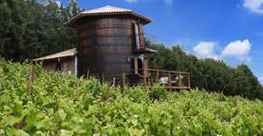 São Roque (SP) ganha hospedagem em tonel de vinho