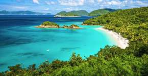 Foto: (SeanPavonePhoto/iStock)