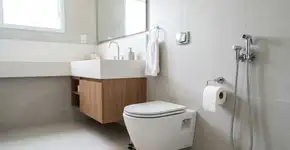 Por que os ocidentais usam papel higiênico em vez de água para se limpar? Eis a resposta