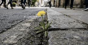 Foto: (Imagem sem texto alternativo disponivel ID [2772712])