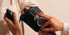 Foto: (Imagem sem texto alternativo disponivel ID [519234])