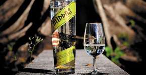 Conheça a cachaça brasileira que leva ouro comestível na fórmula