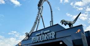 Foto: (Divulgação)