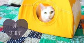 Veja como fazer uma toca para gatos usando uma camiseta velha