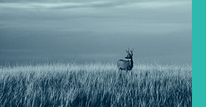 Prêmio Fecomercio de Sustentabilidade recebe inscrições