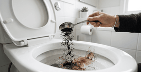 Foto: (Imagem sem texto alternativo disponivel ID [2769621])