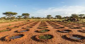 Foto: (Imagem sem texto alternativo disponivel ID [2786841])