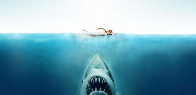 Belas Sonoriza: Tubarão