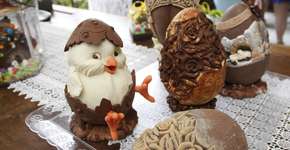 Foto: (Liza Strapasson/Divukgação)