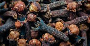 Foto: (Targrid/istock)