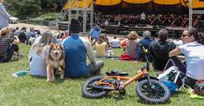 Foto: (Foto: Alex Cavanha)