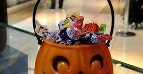 Foto: (Imagem sem texto alternativo disponivel ID [2185256])