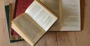 Foto: (Imagem sem texto alternativo disponivel ID [428035])