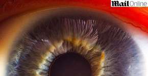 Foto: (Imagem sem texto alternativo disponivel ID [342273])