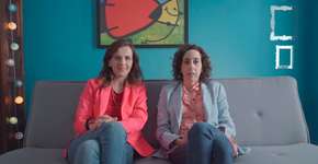 Em vídeo humorado atrizes questionam: será que você também não é corrupto?