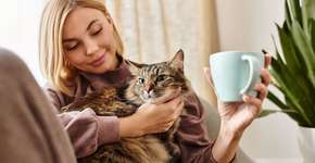 Foto: (Imagem sem texto alternativo disponivel ID [2630933])