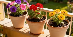 Foto: (Imagem sem texto alternativo disponivel ID [2673359])