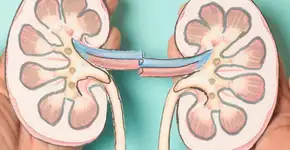 Os sinais de alerta do câncer renal