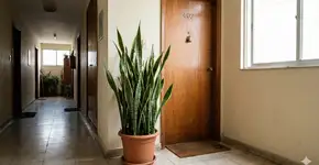 Foto: (Imagem gerada por IA/Gemini)