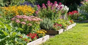 Foto: (Imagem sem texto alternativo disponivel ID [2697608])