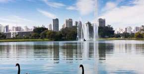 Doria estuda se inspirar no modelo do Central Park pro Ibirapuera