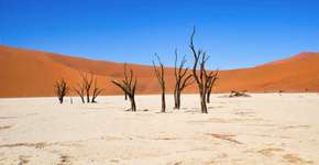 Foto: (Imagem sem texto alternativo disponivel ID [1486365])