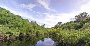 Foto: (Imagem sem texto alternativo disponivel ID [1861595])