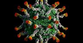 Foto: (theasis/istock)