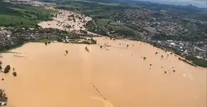 Governador da Bahia passa por cima de Bolsonaro e aceita ajuda da Argentina
