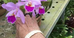 “Sempre um Papo” recebe a escritora Ana Maria Machado