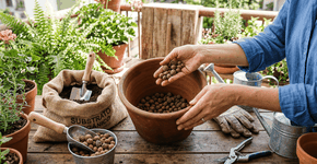 Foto: (Imagem sem texto alternativo disponivel ID [2757422])