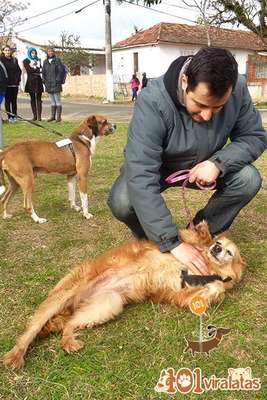 Foto: Reprodução/ Facebook